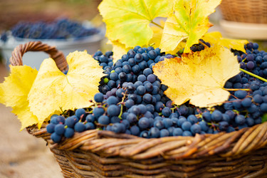 Similar image 21555834