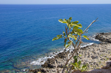 Similar image 21556304