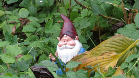 Similar image 21555237