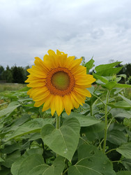 Similar image 21555238