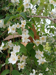 Similar image 21555240