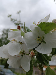 Similar image 21555241