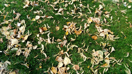 Similar image 21621431