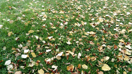 Similar image 21621437