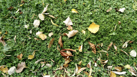 Similar image 21621439