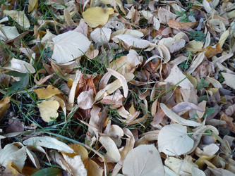 Similar image 21621448