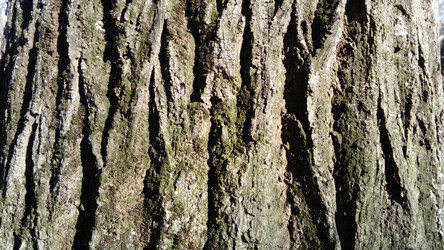 Similar image 21621451