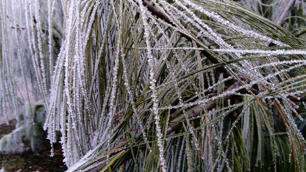 Similar image 21621453