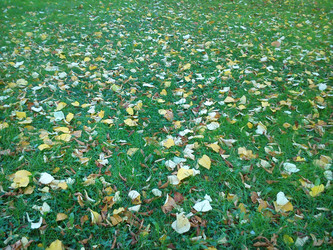 Similar image 21621457