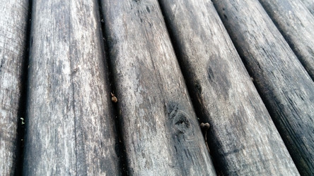 Similar image 21621458