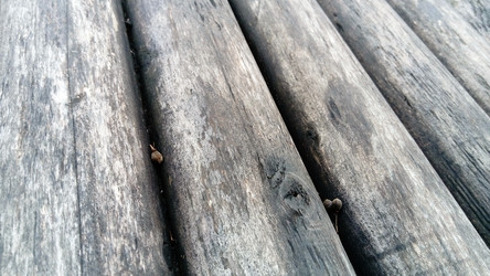 Similar image 21621460