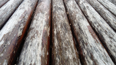 Similar image 21621464