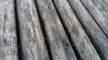 Similar image 21621466