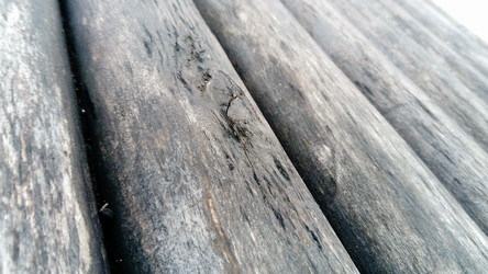 Similar image 21621467