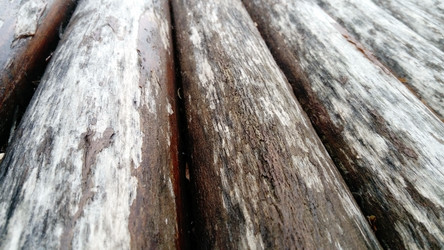 Similar image 21621481