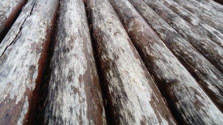 Similar image 21621485