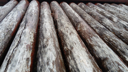 Similar image 21621486