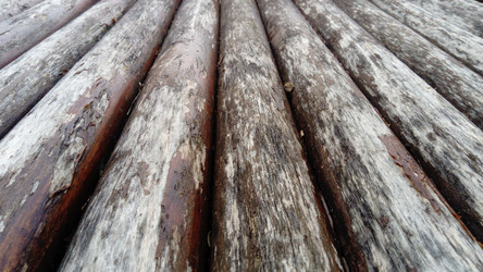 Similar image 21621487