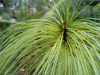 Similar image 21621489