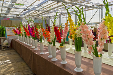 Similar image 21556308