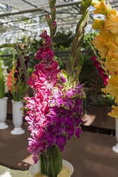 Similar image 21556309