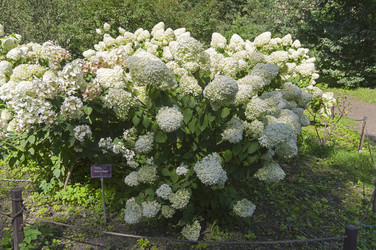 Similar image 21556310