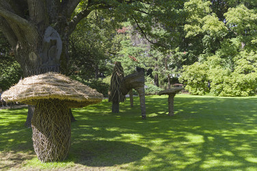 Similar image 21556311