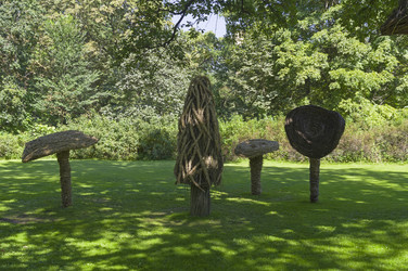 Similar image 21556312