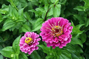 Similar image 21556321