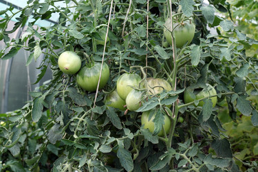 Similar image 21556324