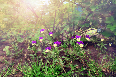 Similar image 21613458