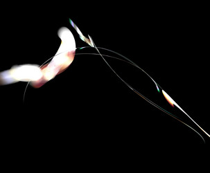 Similar image 21556848