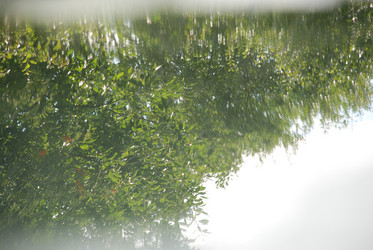 Similar image 21557578