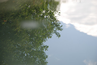 Similar image 21557579