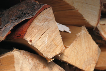 Similar image 21557582