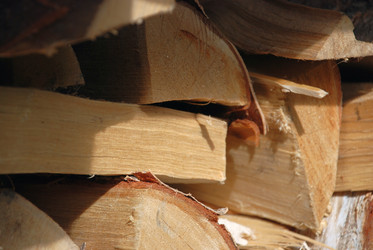 Similar image 21557586