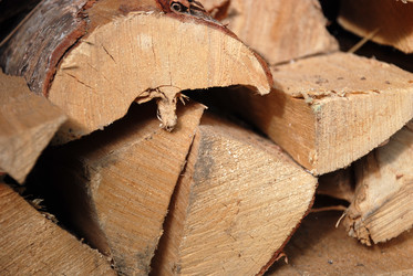 Similar image 21557588