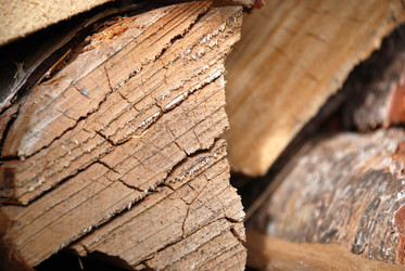 Similar image 21557598