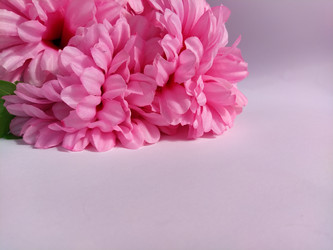 Similar image 21621493