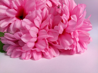 Similar image 21621495