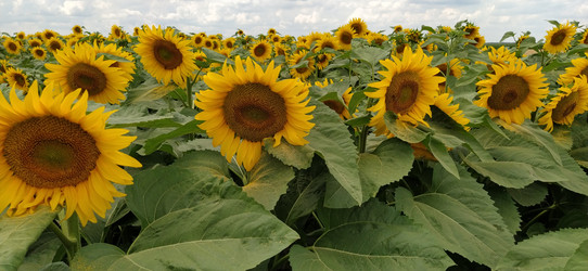 Similar image 21621902