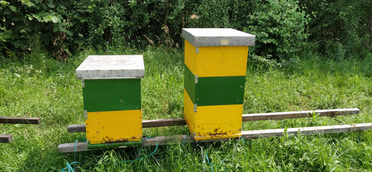 Similar image 21621906