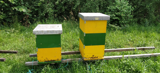 Similar image 21621907