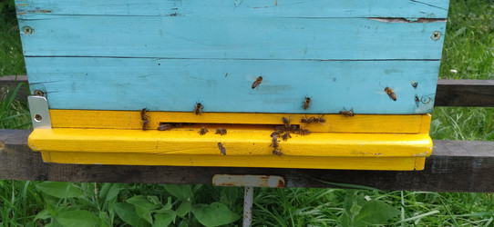 Similar image 21621908