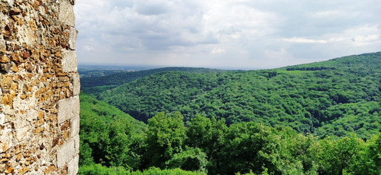 Similar image 21621910