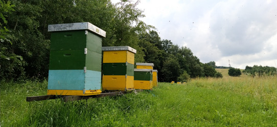 Similar image 21621915