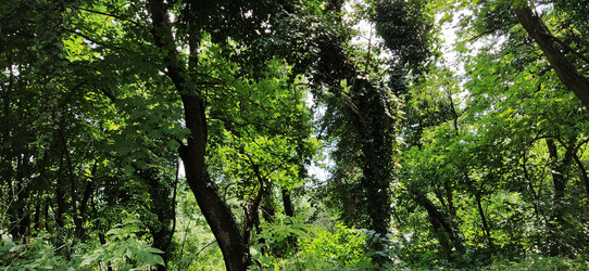 Similar image 21627037