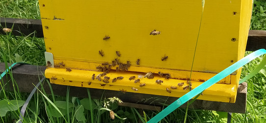 Similar image 21627149