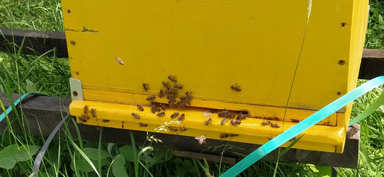 Similar image 21627152