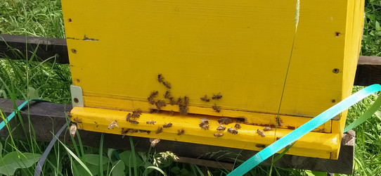 Similar image 21627154